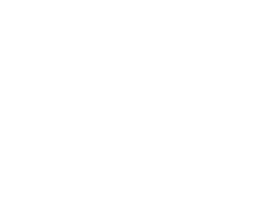 World Affairs Council 