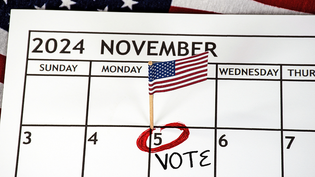 MYP Christopher Lee Elections